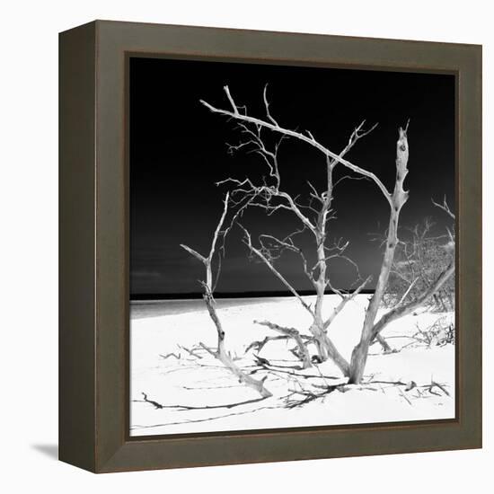 Cuba Fuerte Collection SQ BW - Tropical Beach Nature-Philippe Hugonnard-Framed Stretched Canvas