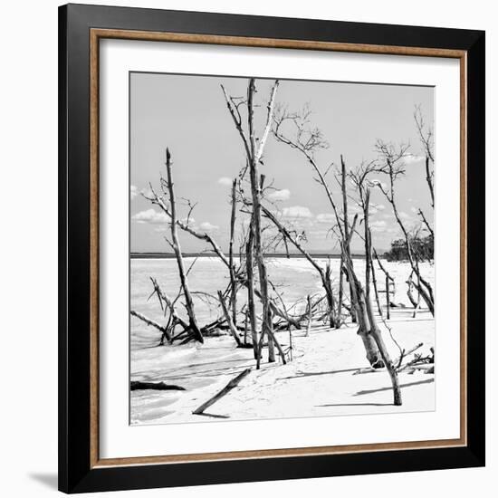 Cuba Fuerte Collection SQ BW - Tropical Wild Beach II-Philippe Hugonnard-Framed Photographic Print