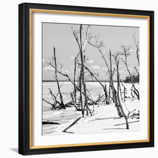 Cuba Fuerte Collection SQ BW - Tropical Wild Beach II-Philippe Hugonnard-Framed Photographic Print