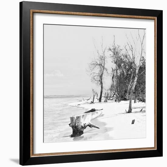 Cuba Fuerte Collection SQ BW - White Sand Beach-Philippe Hugonnard-Framed Photographic Print