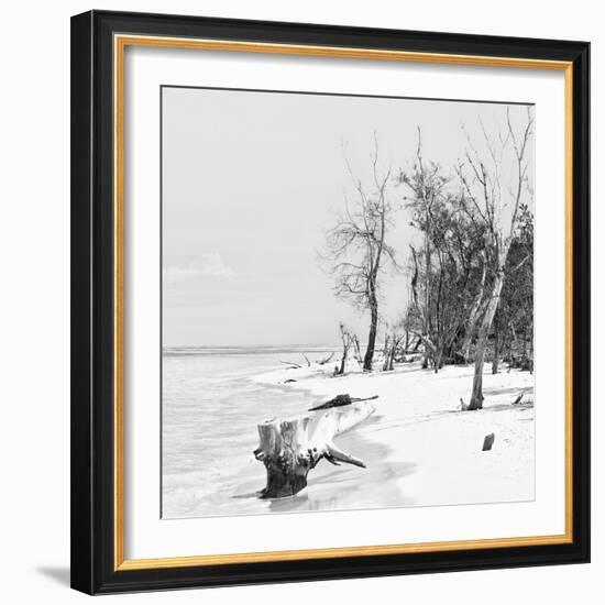 Cuba Fuerte Collection SQ BW - White Sand Beach-Philippe Hugonnard-Framed Photographic Print