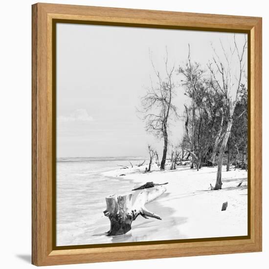 Cuba Fuerte Collection SQ BW - White Sand Beach-Philippe Hugonnard-Framed Stretched Canvas