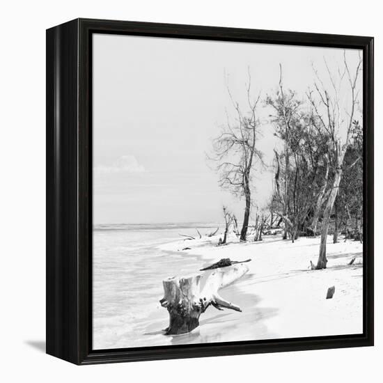 Cuba Fuerte Collection SQ BW - White Sand Beach-Philippe Hugonnard-Framed Stretched Canvas