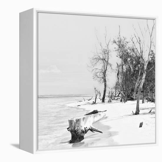 Cuba Fuerte Collection SQ BW - White Sand Beach-Philippe Hugonnard-Framed Stretched Canvas