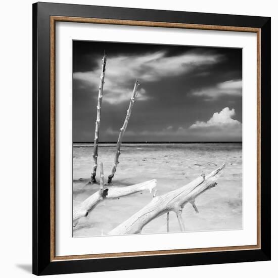 Cuba Fuerte Collection SQ BW - White Trees-Philippe Hugonnard-Framed Photographic Print