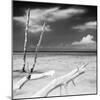 Cuba Fuerte Collection SQ BW - White Trees-Philippe Hugonnard-Mounted Photographic Print