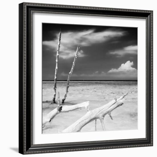 Cuba Fuerte Collection SQ BW - White Trees-Philippe Hugonnard-Framed Photographic Print