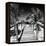 Cuba Fuerte Collection SQ BW - Wooden Jetty on the Beach-Philippe Hugonnard-Framed Stretched Canvas