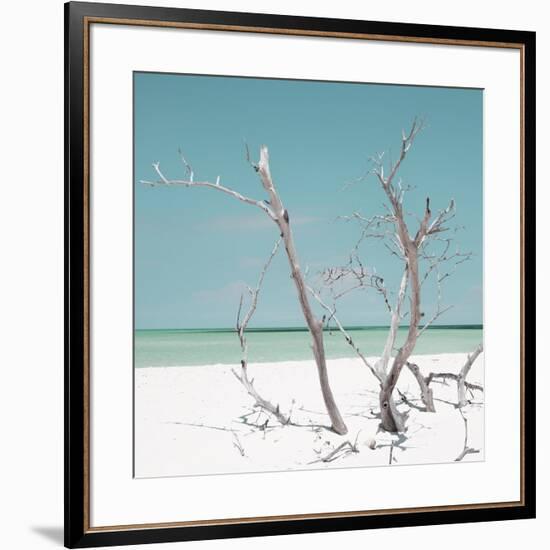 Cuba Fuerte Collection SQ - Coral Green Stillness-Philippe Hugonnard-Framed Photographic Print