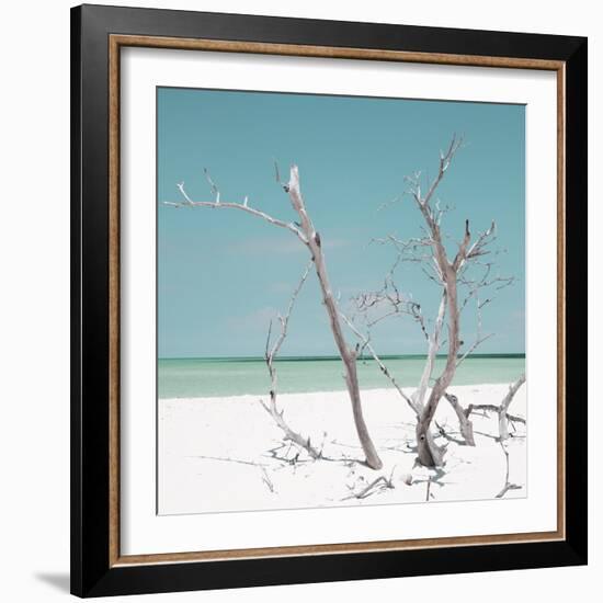 Cuba Fuerte Collection SQ - Coral Green Stillness-Philippe Hugonnard-Framed Photographic Print