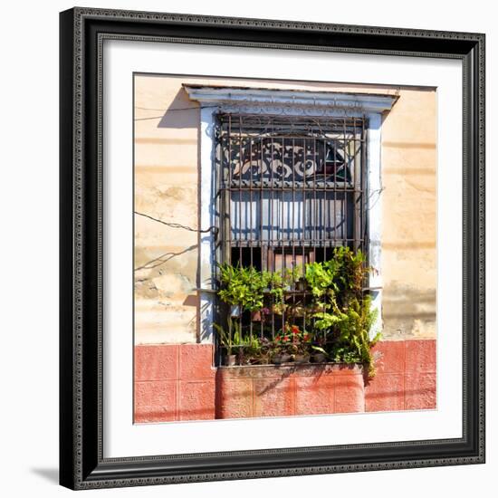 Cuba Fuerte Collection SQ - Cuban Window-Philippe Hugonnard-Framed Photographic Print