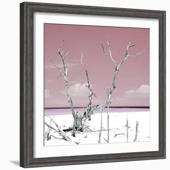 Cuba Fuerte Collection SQ - Hot Pink Serenity-Philippe Hugonnard-Framed Photographic Print