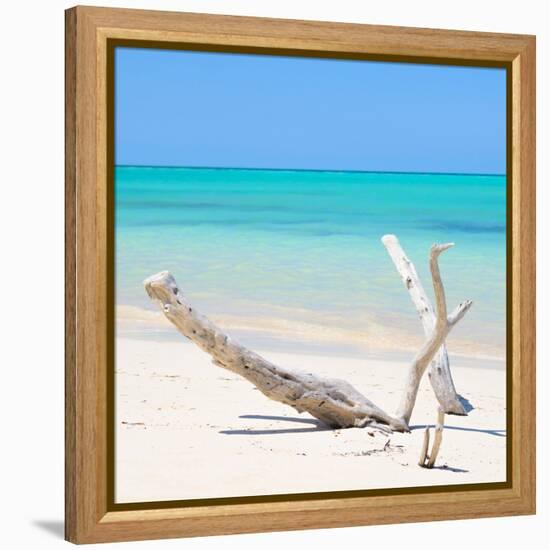 Cuba Fuerte Collection SQ - Lost Paradise-Philippe Hugonnard-Framed Stretched Canvas