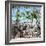 Cuba Fuerte Collection SQ - Mangroves-Philippe Hugonnard-Framed Photographic Print