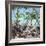 Cuba Fuerte Collection SQ - Mangroves-Philippe Hugonnard-Framed Photographic Print