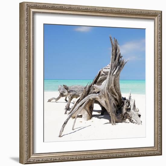 Cuba Fuerte Collection SQ - Natural Sculpture-Philippe Hugonnard-Framed Photographic Print