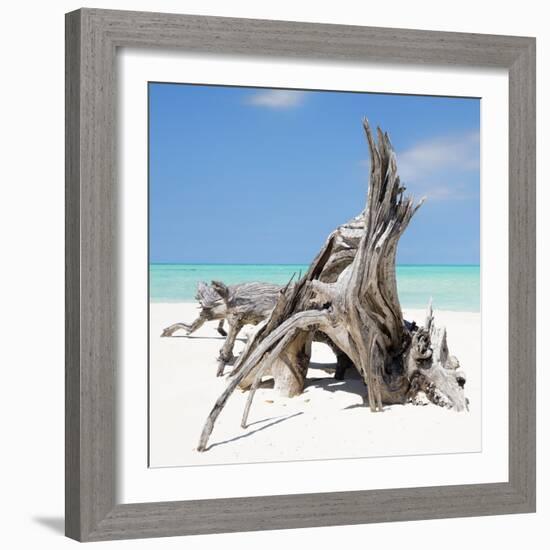 Cuba Fuerte Collection SQ - Natural Sculpture-Philippe Hugonnard-Framed Photographic Print