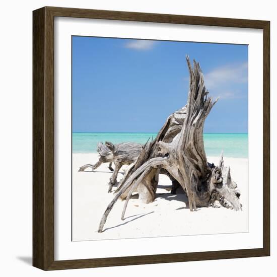 Cuba Fuerte Collection SQ - Natural Sculpture-Philippe Hugonnard-Framed Photographic Print