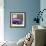 Cuba Fuerte Collection SQ - Purple Chevy-Philippe Hugonnard-Framed Photographic Print displayed on a wall