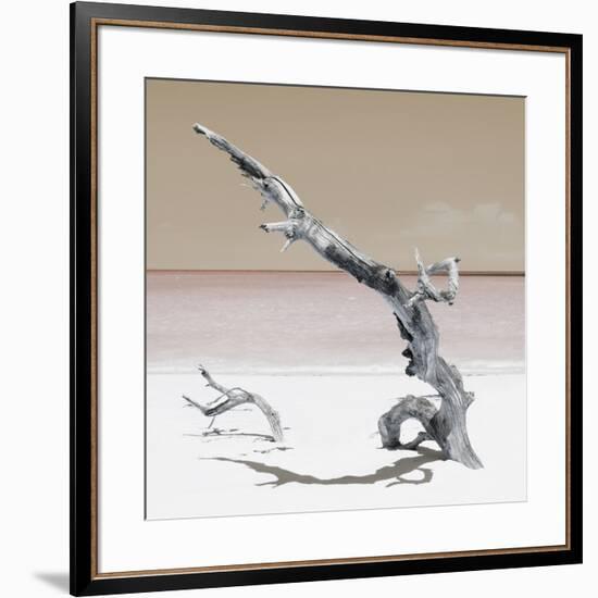 Cuba Fuerte Collection SQ - Solitary Tree - Pastel Orange-Philippe Hugonnard-Framed Photographic Print