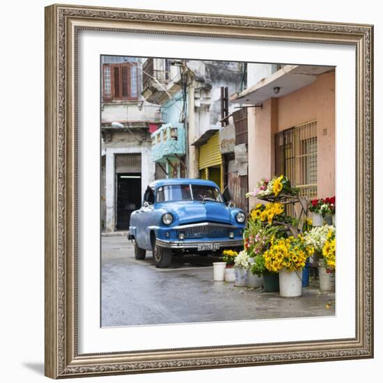 Cuba Fuerte Collection SQ - Sunflowers-Philippe Hugonnard-Framed Photographic Print