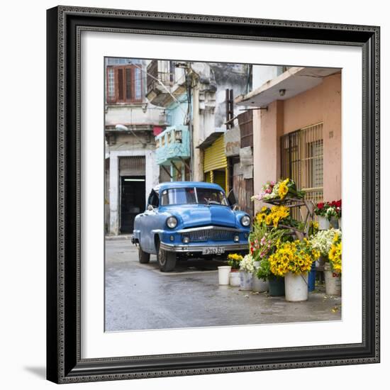 Cuba Fuerte Collection SQ - Sunflowers-Philippe Hugonnard-Framed Photographic Print