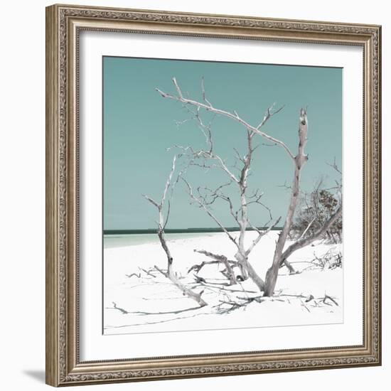 Cuba Fuerte Collection SQ - Tropical Beach Nature - Pastel Coral Green-Philippe Hugonnard-Framed Photographic Print