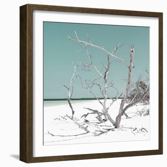 Cuba Fuerte Collection SQ - Tropical Beach Nature - Pastel Coral Green-Philippe Hugonnard-Framed Photographic Print