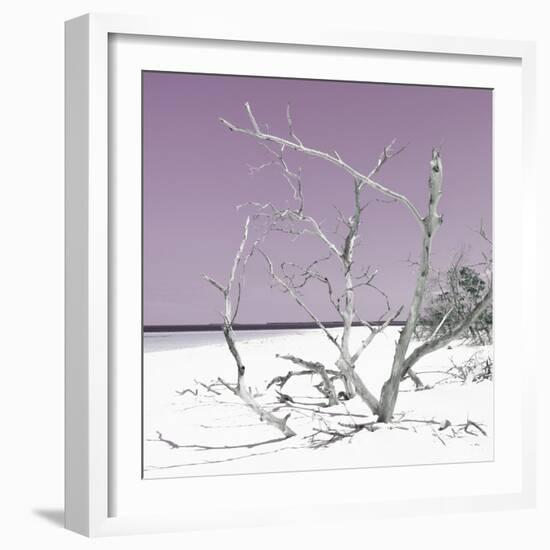 Cuba Fuerte Collection SQ - Tropical Beach Nature - Pastel Plum-Philippe Hugonnard-Framed Photographic Print