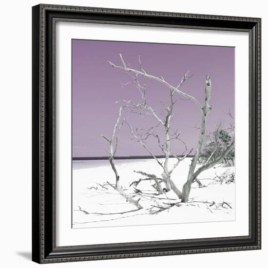 Cuba Fuerte Collection SQ - Tropical Beach Nature - Pastel Plum-Philippe Hugonnard-Framed Photographic Print