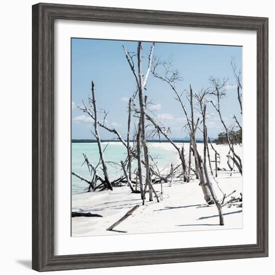 Cuba Fuerte Collection SQ - Tropical Wild Beach II-Philippe Hugonnard-Framed Photographic Print