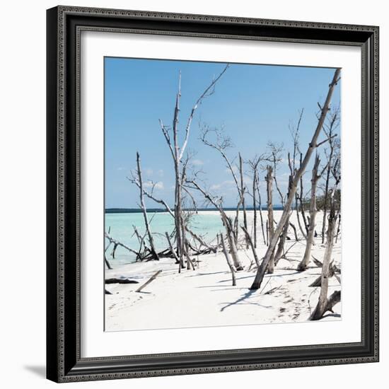 Cuba Fuerte Collection SQ - Tropical Wild Beach-Philippe Hugonnard-Framed Photographic Print