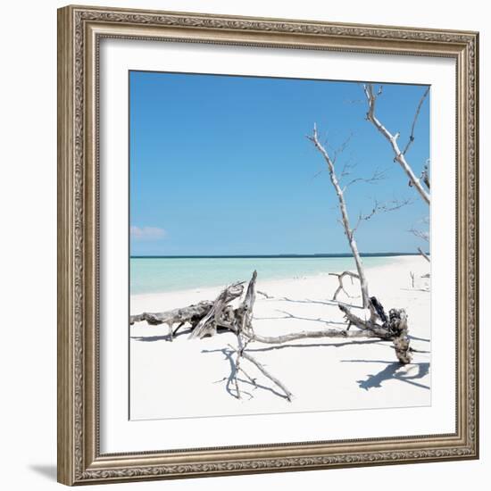 Cuba Fuerte Collection SQ - Wild White Sand Beach-Philippe Hugonnard-Framed Photographic Print