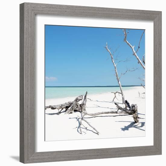 Cuba Fuerte Collection SQ - Wild White Sand Beach-Philippe Hugonnard-Framed Photographic Print