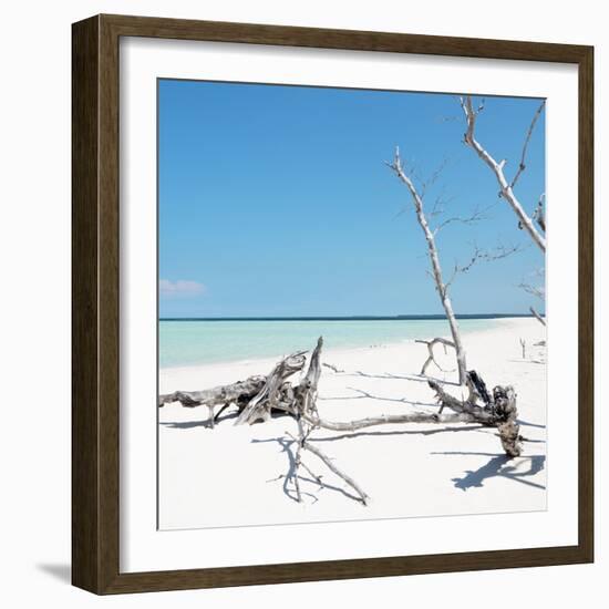 Cuba Fuerte Collection SQ - Wild White Sand Beach-Philippe Hugonnard-Framed Photographic Print