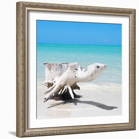 Cuba Fuerte Collection SQ - Wooden Turtle on the Beach-Philippe Hugonnard-Framed Photographic Print