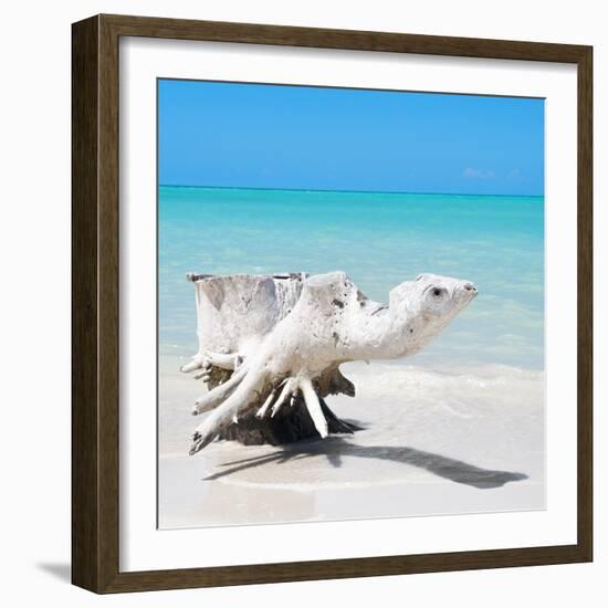 Cuba Fuerte Collection SQ - Wooden Turtle on the Beach-Philippe Hugonnard-Framed Photographic Print