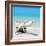 Cuba Fuerte Collection SQ - Wooden Turtle on the Beach-Philippe Hugonnard-Framed Photographic Print