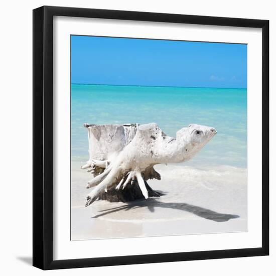 Cuba Fuerte Collection SQ - Wooden Turtle on the Beach-Philippe Hugonnard-Framed Photographic Print