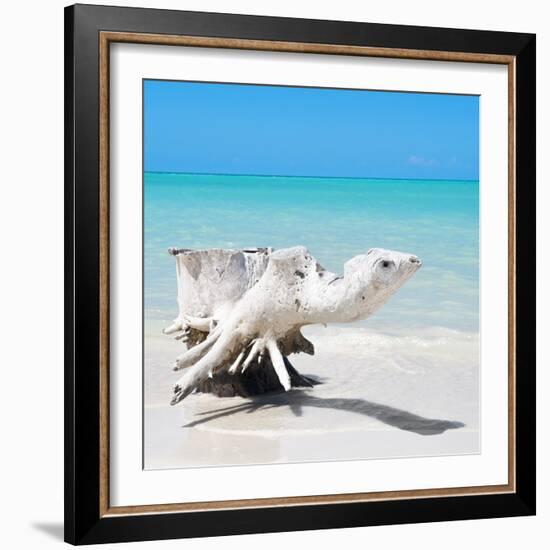 Cuba Fuerte Collection SQ - Wooden Turtle on the Beach-Philippe Hugonnard-Framed Photographic Print