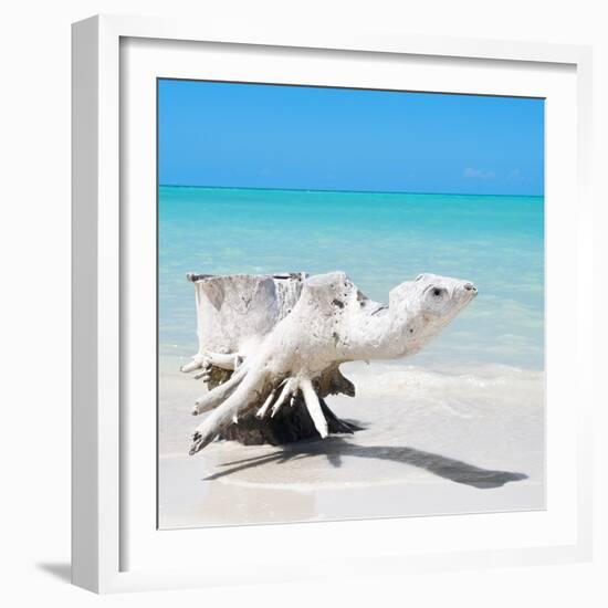 Cuba Fuerte Collection SQ - Wooden Turtle on the Beach-Philippe Hugonnard-Framed Photographic Print