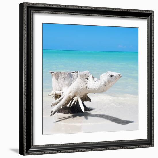 Cuba Fuerte Collection SQ - Wooden Turtle on the Beach-Philippe Hugonnard-Framed Photographic Print