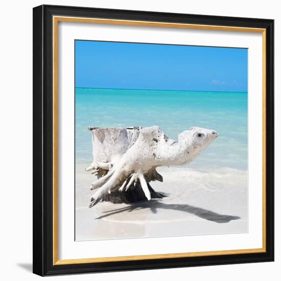 Cuba Fuerte Collection SQ - Wooden Turtle on the Beach-Philippe Hugonnard-Framed Photographic Print