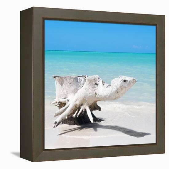 Cuba Fuerte Collection SQ - Wooden Turtle on the Beach-Philippe Hugonnard-Framed Stretched Canvas