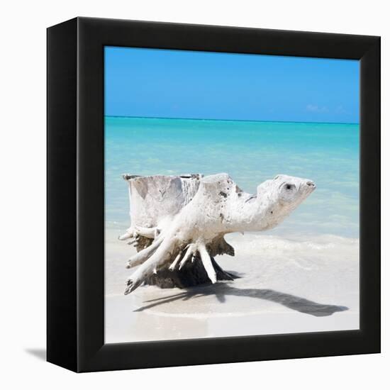 Cuba Fuerte Collection SQ - Wooden Turtle on the Beach-Philippe Hugonnard-Framed Stretched Canvas