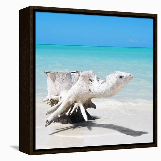 Cuba Fuerte Collection SQ - Wooden Turtle on the Beach-Philippe Hugonnard-Framed Stretched Canvas