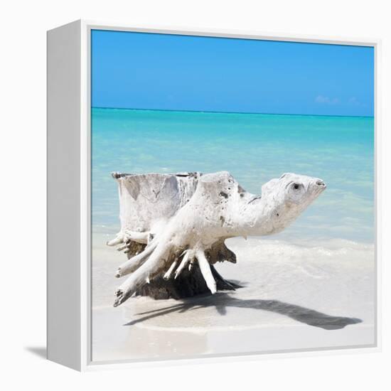 Cuba Fuerte Collection SQ - Wooden Turtle on the Beach-Philippe Hugonnard-Framed Stretched Canvas