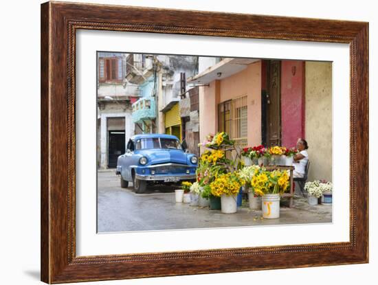 Cuba Fuerte Collection - Sunflowers-Philippe Hugonnard-Framed Photographic Print