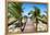 Cuba Fuerte Collection - Way to the Beach-Philippe Hugonnard-Framed Premier Image Canvas