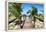 Cuba Fuerte Collection - Way to the Beach-Philippe Hugonnard-Framed Premier Image Canvas